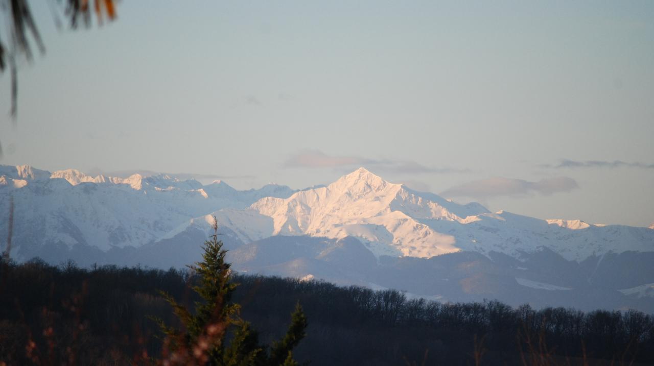 Gite Au Bouzigues Monlaur-Bernet Exteriör bild