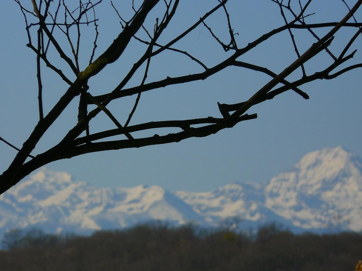 Gite Au Bouzigues Monlaur-Bernet Exteriör bild